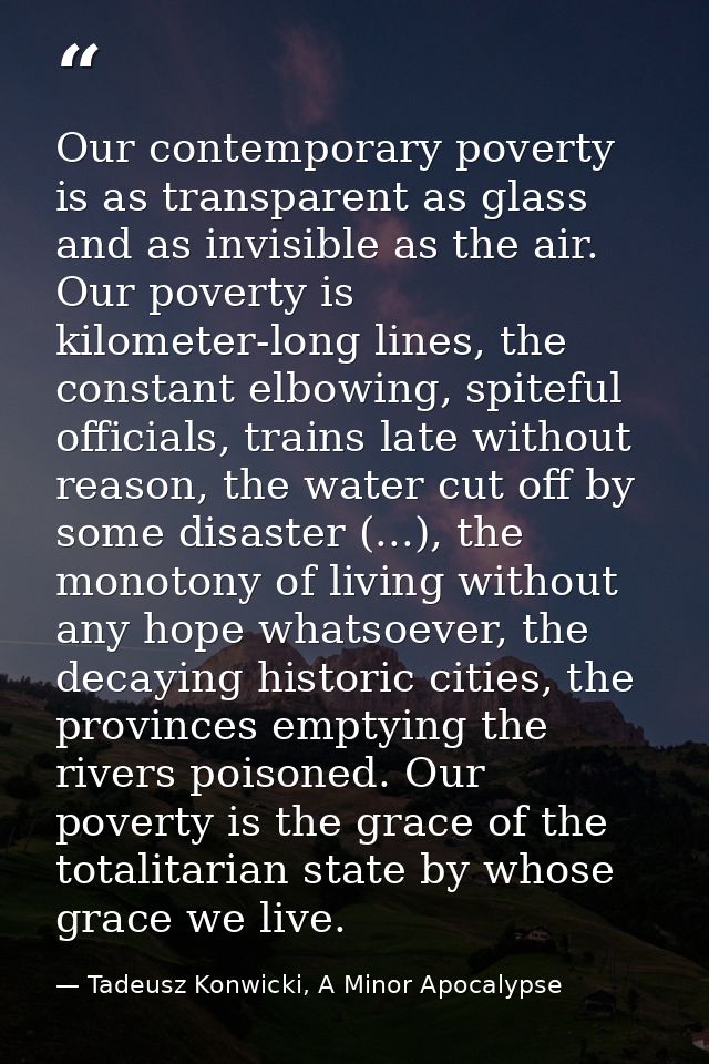 Our contemporary poverty is as transparent as glass and as invisible as the air. Our poverty is kilometer-long lines, th — Tadeusz Konwicki, A Minor Apocalypse