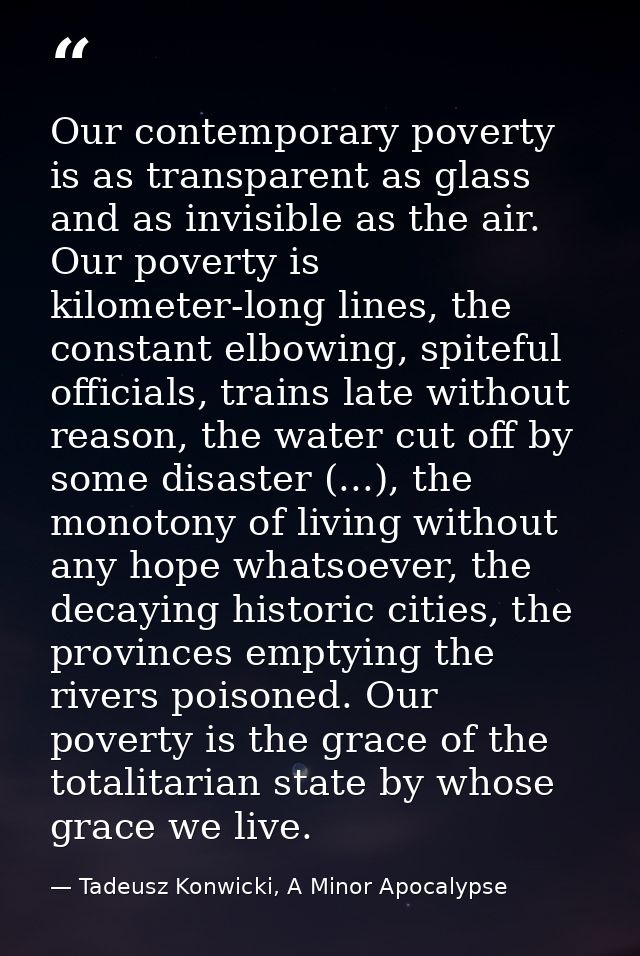 Our contemporary poverty is as transparent as glass and as invisible as the air. Our poverty is kilometer-long lines, th — Tadeusz Konwicki, A Minor Apocalypse