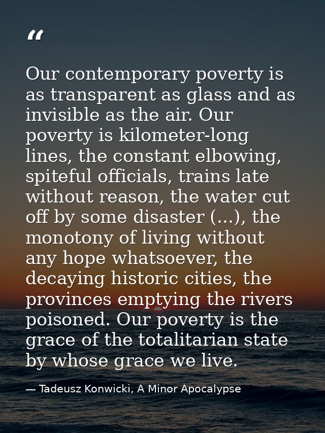 Our contemporary poverty is as transparent as glass and as invisible as the air. Our poverty is kilometer-long lines, th — Tadeusz Konwicki, A Minor Apocalypse