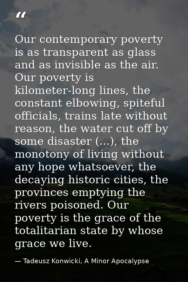 Our contemporary poverty is as transparent as glass and as invisible as the air. Our poverty is kilometer-long lines, th — Tadeusz Konwicki, A Minor Apocalypse