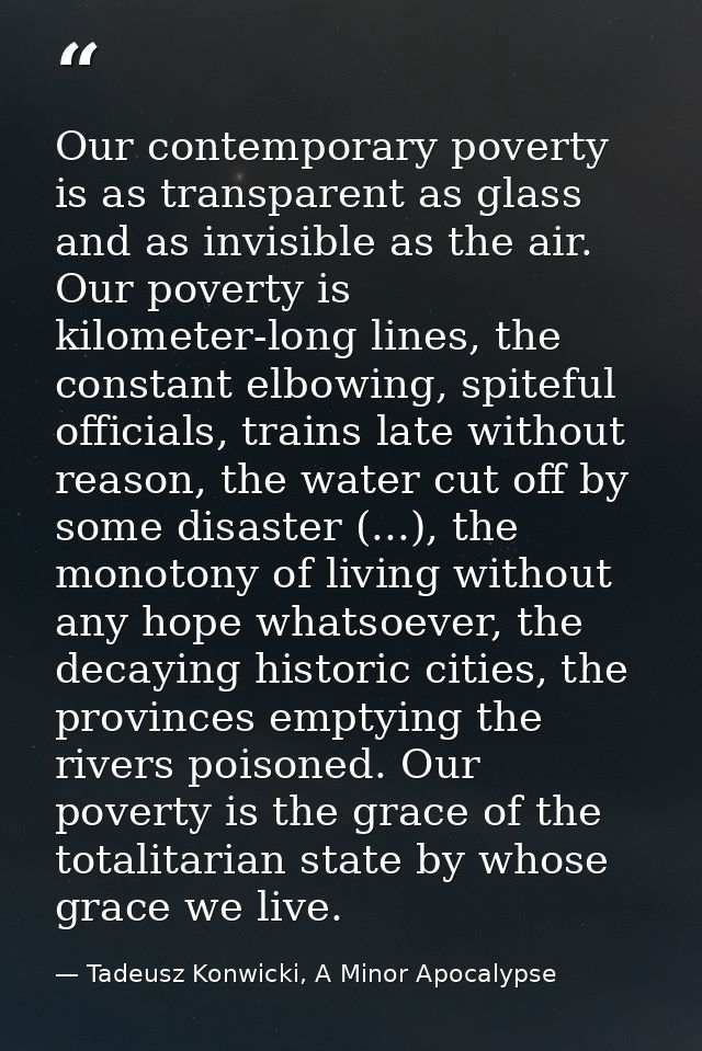 Our contemporary poverty is as transparent as glass and as invisible as the air. Our poverty is kilometer-long lines, th — Tadeusz Konwicki, A Minor Apocalypse
