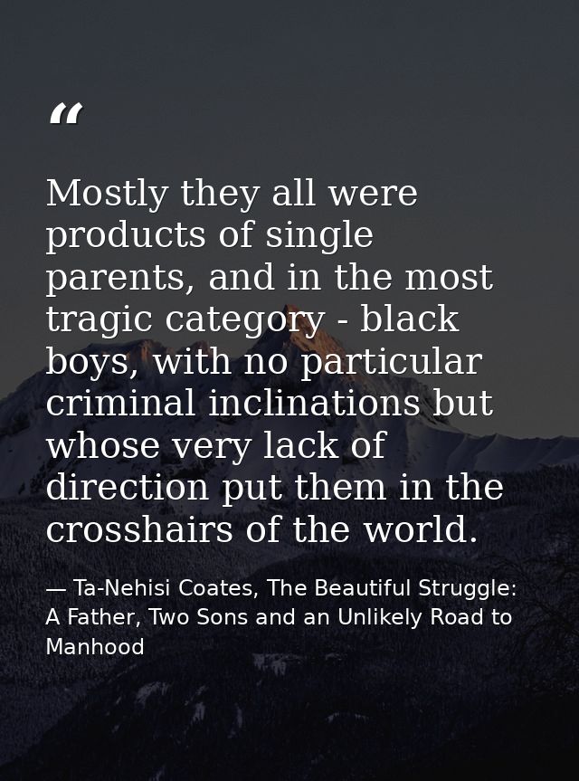 Mostly they all were products of single parents, and in the most tragic category - black boys, with no particular crimin — Ta-Nehisi Coates, The Beautiful Struggle: A Father, Two Sons and an Unlikely Road to Manhood
