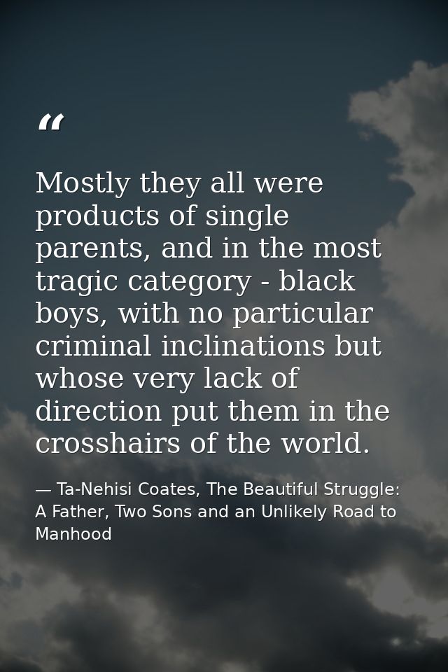 Mostly they all were products of single parents, and in the most tragic category - black boys, with no particular crimin — Ta-Nehisi Coates, The Beautiful Struggle: A Father, Two Sons and an Unlikely Road to Manhood