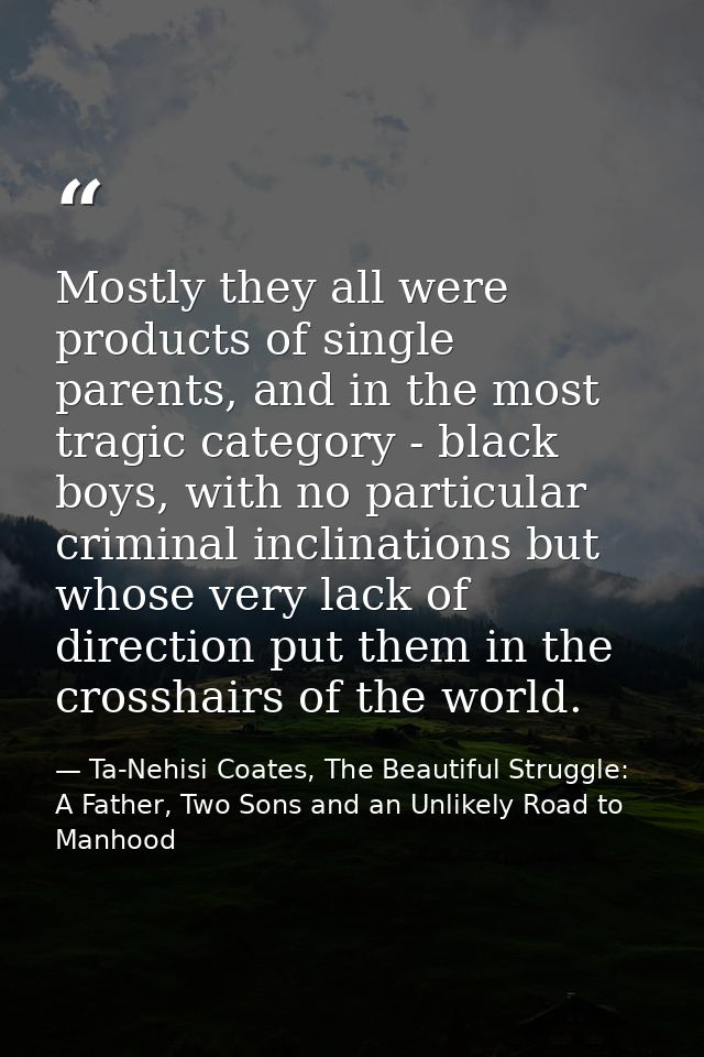 Mostly they all were products of single parents, and in the most tragic category - black boys, with no particular crimin — Ta-Nehisi Coates, The Beautiful Struggle: A Father, Two Sons and an Unlikely Road to Manhood