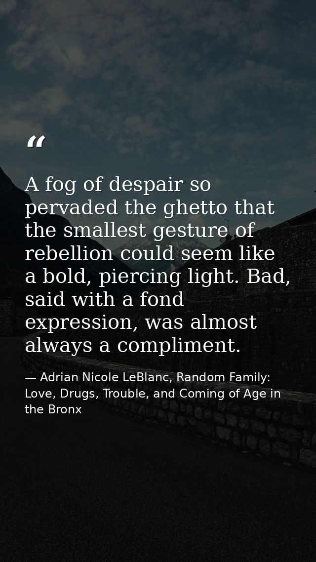 A fog of despair so pervaded the ghetto that the smallest gesture of rebellion could seem like a bold, piercing light. B — Adrian Nicole LeBlanc, Random Family: Love, Drugs, Trouble, and Coming of Age in the Bronx
