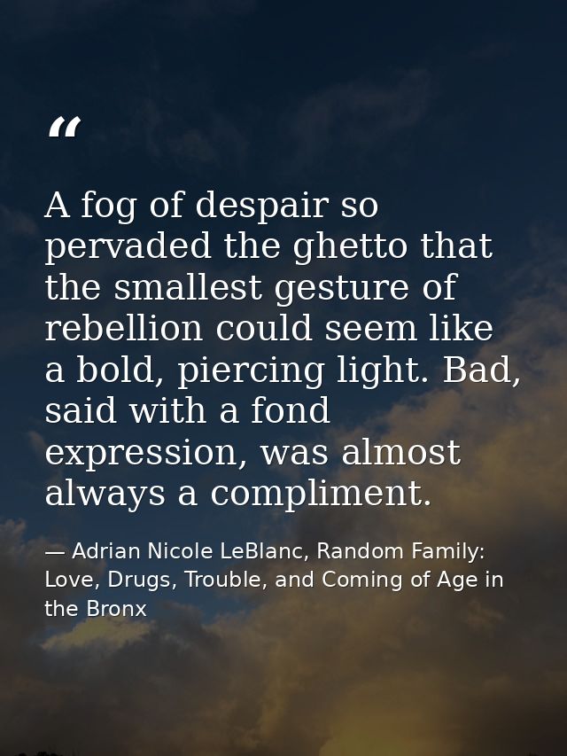 A fog of despair so pervaded the ghetto that the smallest gesture of rebellion could seem like a bold, piercing light. B — Adrian Nicole LeBlanc, Random Family: Love, Drugs, Trouble, and Coming of Age in the Bronx