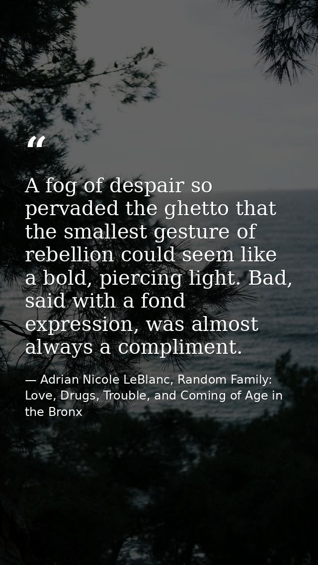 A fog of despair so pervaded the ghetto that the smallest gesture of rebellion could seem like a bold, piercing light. B — Adrian Nicole LeBlanc, Random Family: Love, Drugs, Trouble, and Coming of Age in the Bronx