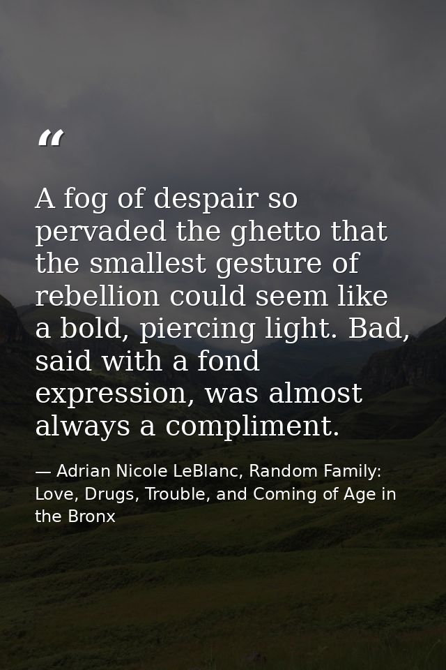 A fog of despair so pervaded the ghetto that the smallest gesture of rebellion could seem like a bold, piercing light. B — Adrian Nicole LeBlanc, Random Family: Love, Drugs, Trouble, and Coming of Age in the Bronx