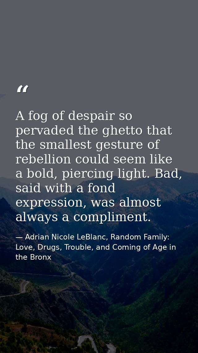 A fog of despair so pervaded the ghetto that the smallest gesture of rebellion could seem like a bold, piercing light. B — Adrian Nicole LeBlanc, Random Family: Love, Drugs, Trouble, and Coming of Age in the Bronx