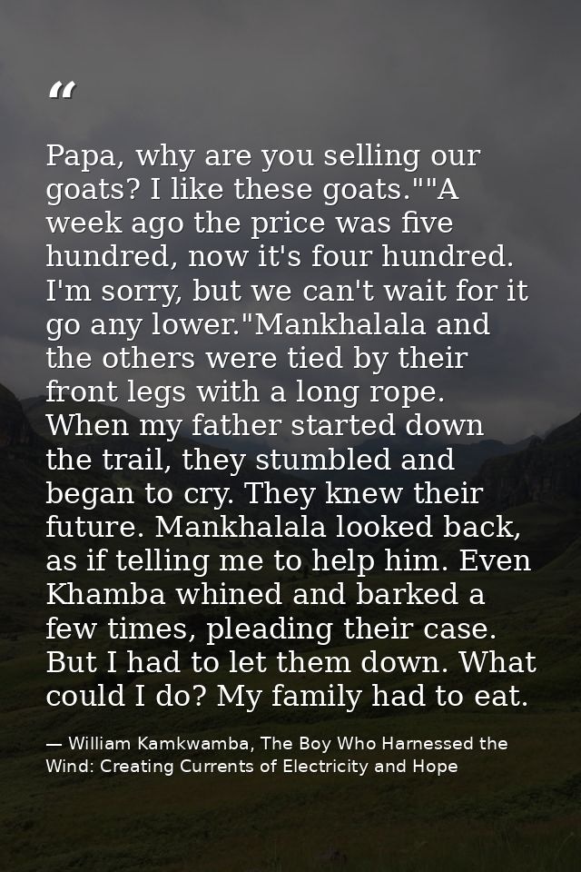 Papa, why are you selling our goats? I like these goats.""A week ago the price was five hundred, now it's four hundred.  — William Kamkwamba, The Boy Who Harnessed the Wind: Creating Currents of Electricity and Hope