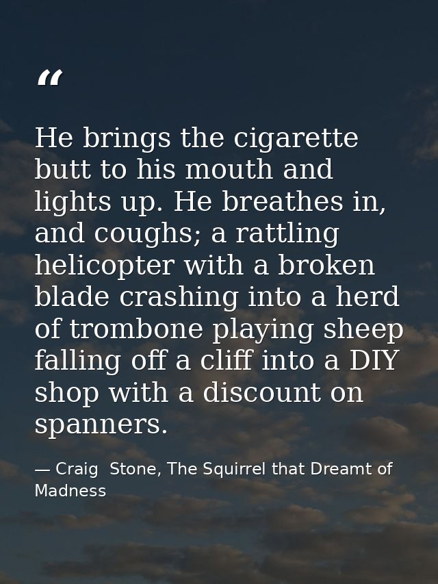 He brings the cigarette butt to his mouth and lights up. He breathes in, and coughs; a rattling helicopter with a broken — Craig  Stone, The Squirrel that Dreamt of Madness