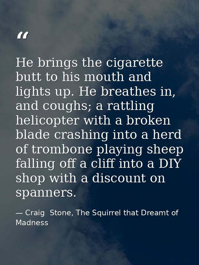 He brings the cigarette butt to his mouth and lights up. He breathes in, and coughs; a rattling helicopter with a broken — Craig  Stone, The Squirrel that Dreamt of Madness