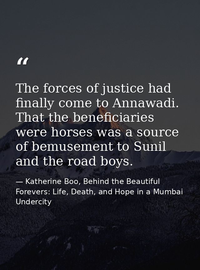 The forces of justice had finally come to Annawadi. That the beneficiaries were horses was a source of bemusement to Sun — Katherine Boo, Behind the Beautiful Forevers: Life, Death, and Hope in a Mumbai Undercity