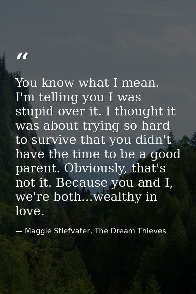 You know what I mean. I'm telling you I was stupid over it. I thought it was about trying so hard to survive that you di — Maggie Stiefvater, The Dream Thieves
