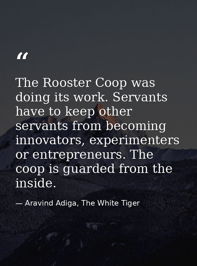 The Rooster Coop was doing its work. Servants have to keep other servants from becoming innovators, experimenters or ent — Aravind Adiga, The White Tiger
