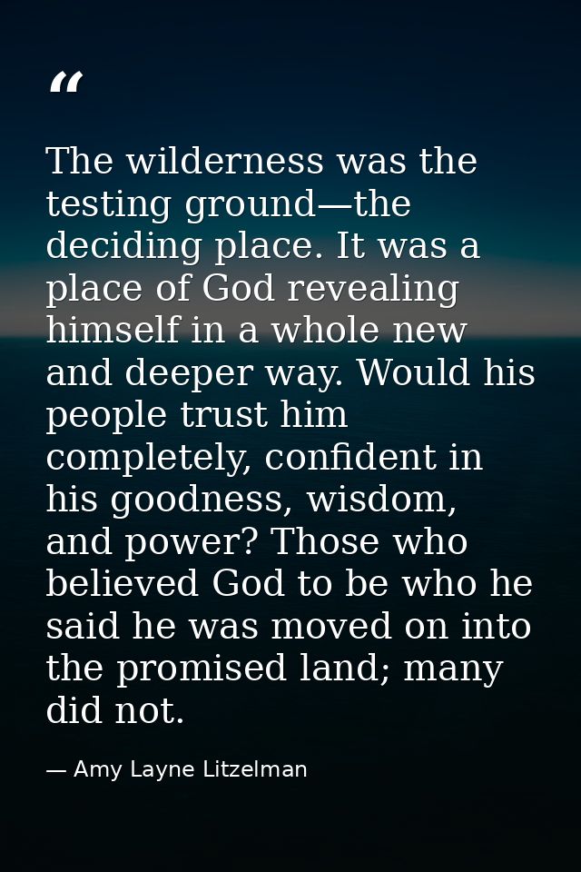 The wilderness was the testing ground—the deciding place. It was a place of God revealing himself in a whole new and dee — Amy Layne Litzelman