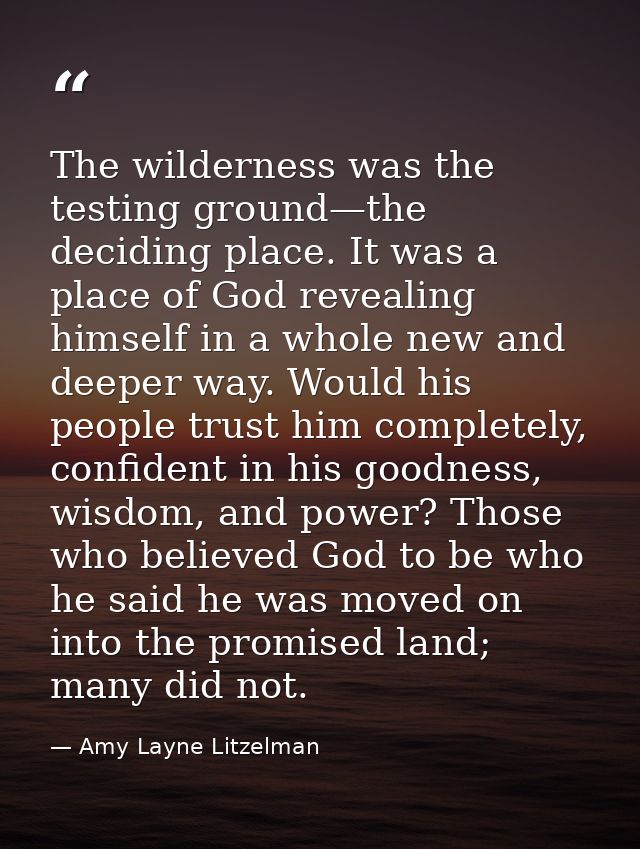 The wilderness was the testing ground—the deciding place. It was a place of God revealing himself in a whole new and dee — Amy Layne Litzelman