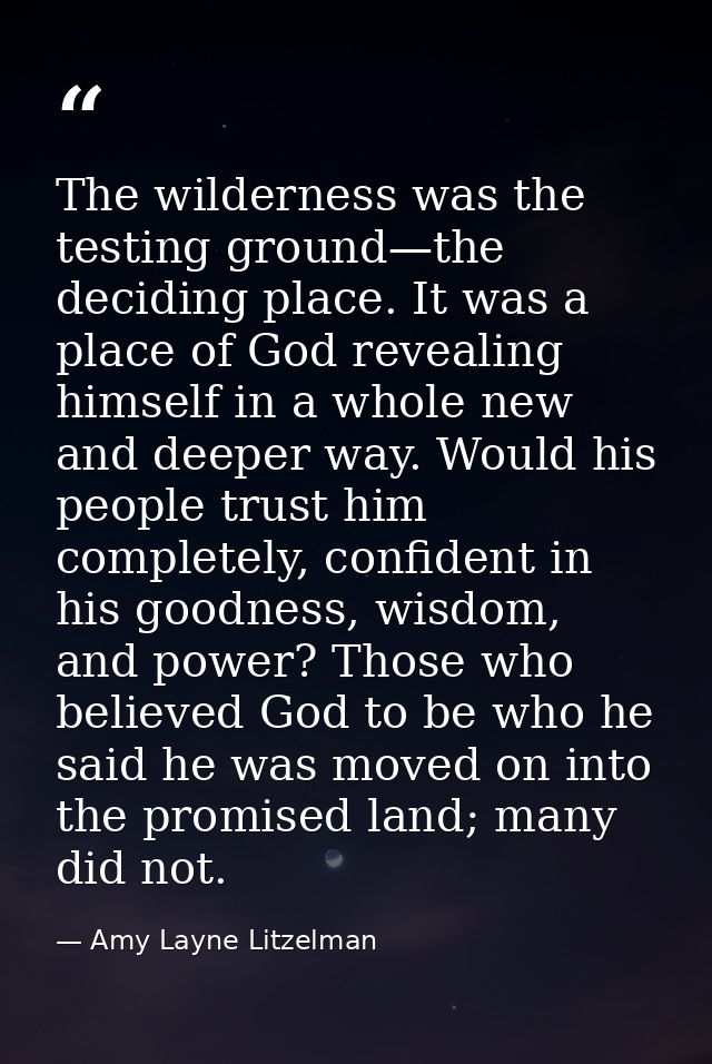 The wilderness was the testing ground—the deciding place. It was a place of God revealing himself in a whole new and dee — Amy Layne Litzelman