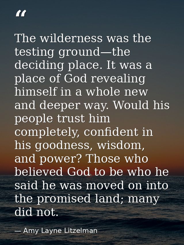 The wilderness was the testing ground—the deciding place. It was a place of God revealing himself in a whole new and dee — Amy Layne Litzelman
