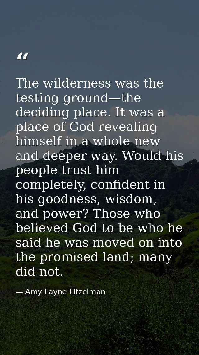 The wilderness was the testing ground—the deciding place. It was a place of God revealing himself in a whole new and dee — Amy Layne Litzelman