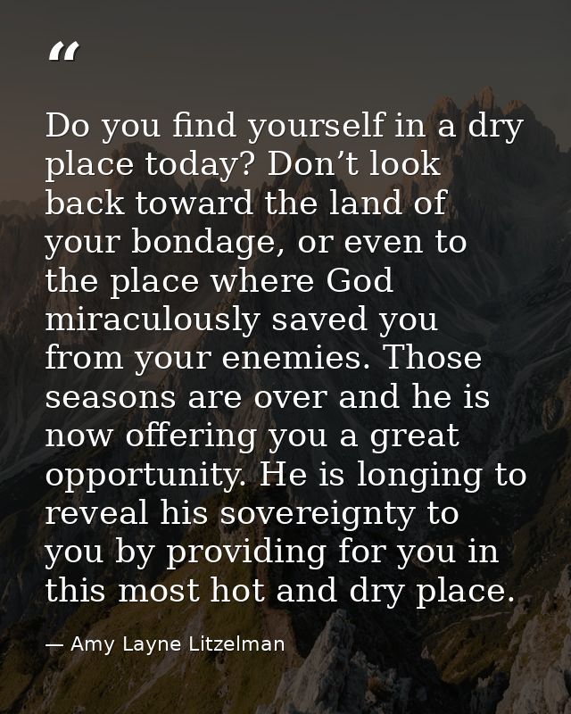Do you find yourself in a dry place today? Don’t look back toward the land of your bondage, or even to the place where G — Amy Layne Litzelman