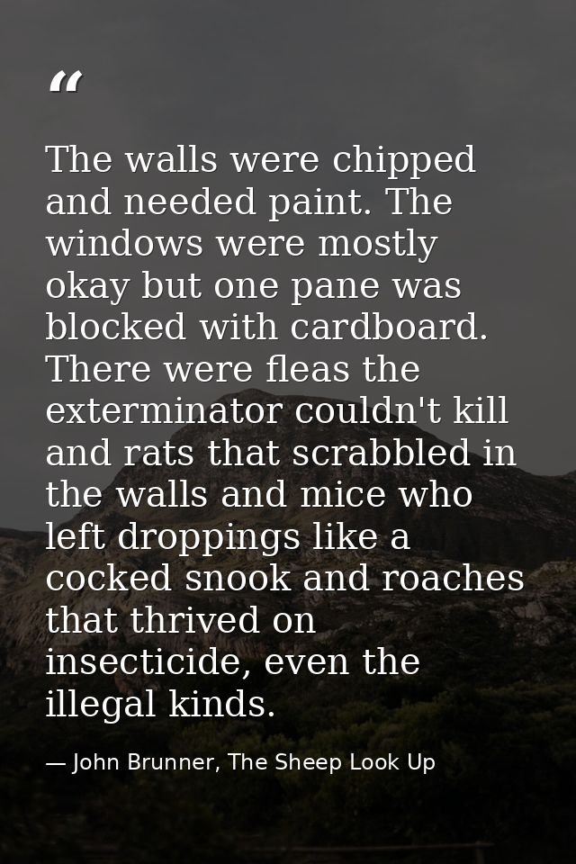 The walls were chipped and needed paint. The windows were mostly okay but one pane was blocked with cardboard. There wer — John Brunner, The Sheep Look Up