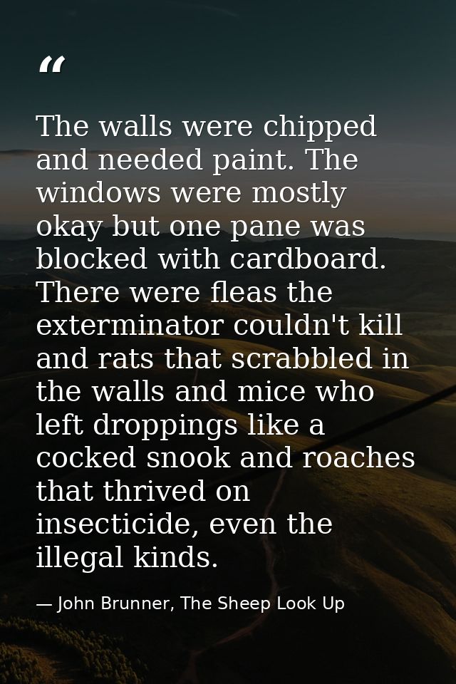 The walls were chipped and needed paint. The windows were mostly okay but one pane was blocked with cardboard. There wer — John Brunner, The Sheep Look Up