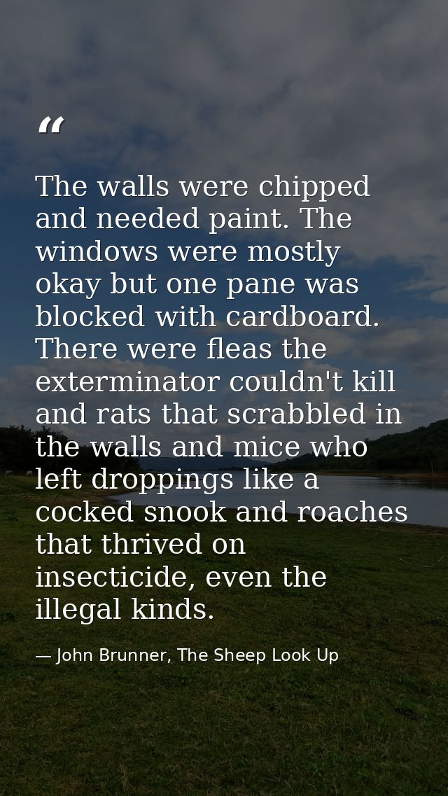 The walls were chipped and needed paint. The windows were mostly okay but one pane was blocked with cardboard. There wer — John Brunner, The Sheep Look Up