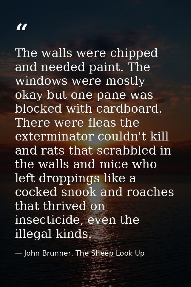 The walls were chipped and needed paint. The windows were mostly okay but one pane was blocked with cardboard. There wer — John Brunner, The Sheep Look Up