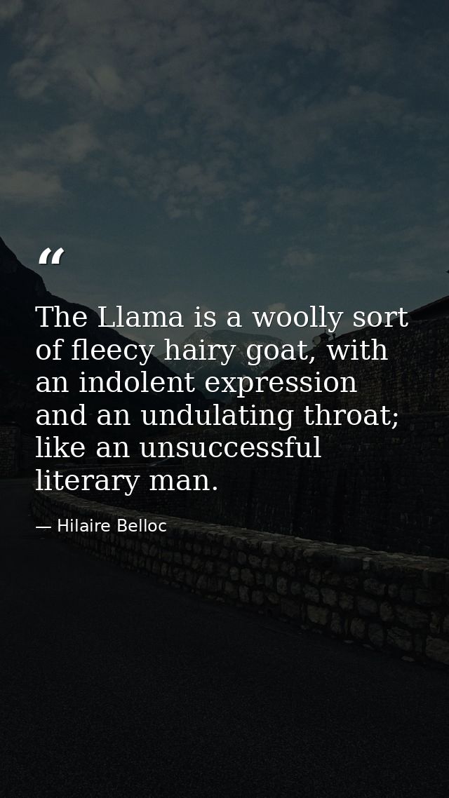 The Llama is a woolly sort of fleecy hairy goat, with an indolent expression and an undulating throat; like an unsuccess — Hilaire Belloc