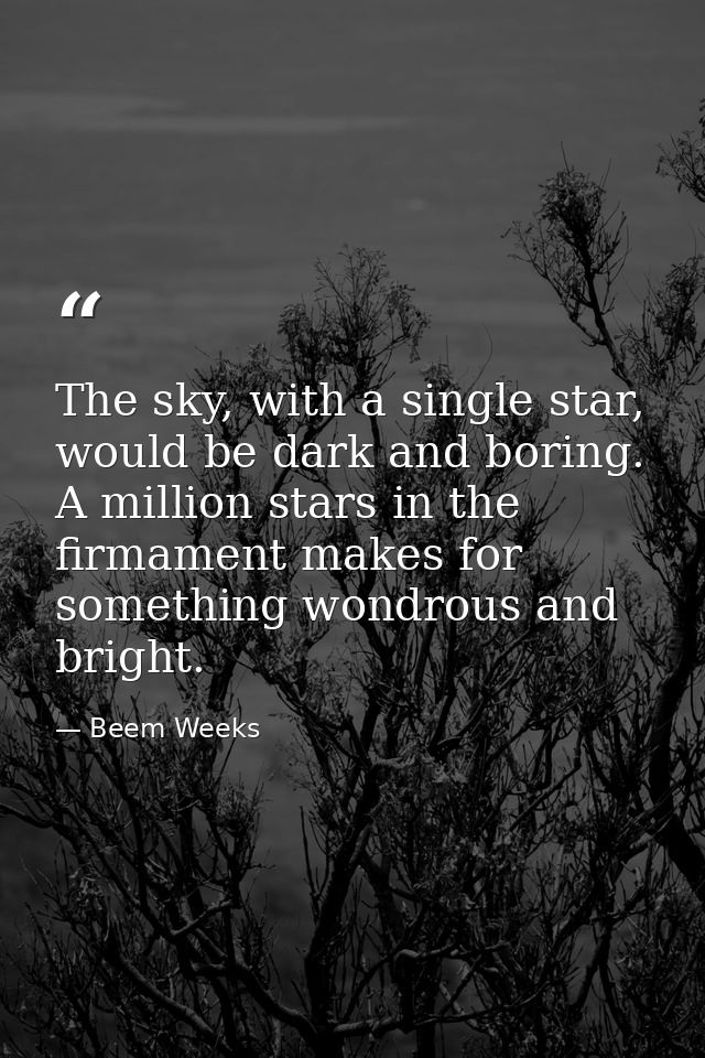 The sky, with a single star, would be dark and boring. A million stars in the firmament makes for something wondrous and — Beem Weeks