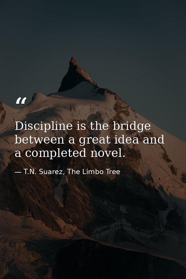 Discipline is the bridge between a great idea and a completed novel. — T.N. Suarez, The Limbo Tree