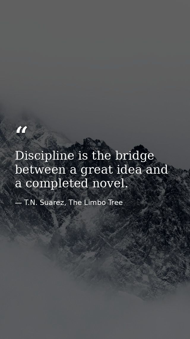 Discipline is the bridge between a great idea and a completed novel. — T.N. Suarez, The Limbo Tree
