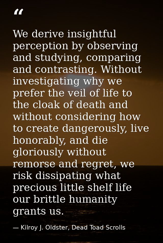 We derive insightful perception by observing and studying, comparing and contrasting. Without investigating why we prefe — Kilroy J. Oldster, Dead Toad Scrolls