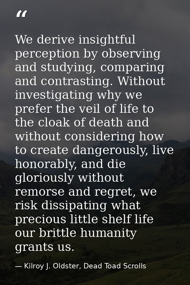 We derive insightful perception by observing and studying, comparing and contrasting. Without investigating why we prefe — Kilroy J. Oldster, Dead Toad Scrolls