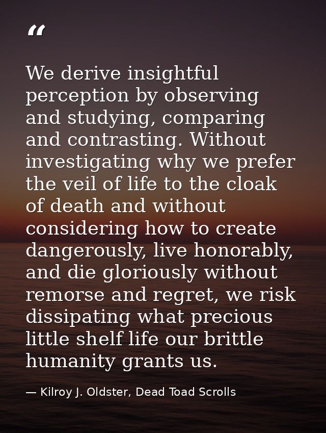 We derive insightful perception by observing and studying, comparing and contrasting. Without investigating why we prefe — Kilroy J. Oldster, Dead Toad Scrolls