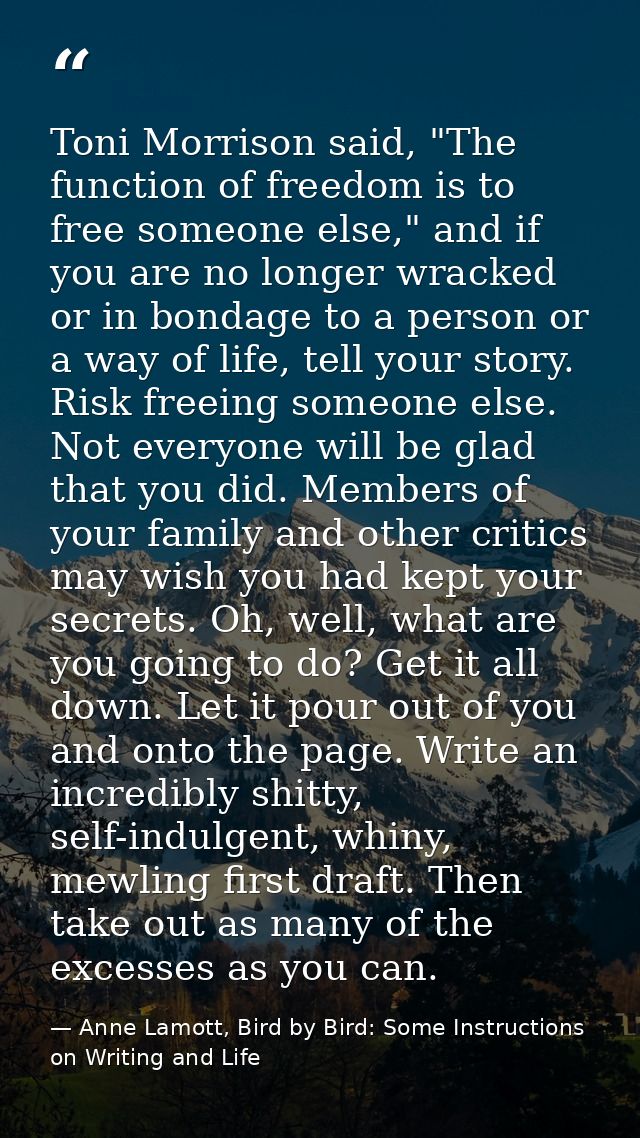 Toni Morrison said, "The function of freedom is to free someone else," and if you are no longer wracked or in bondage to — Anne Lamott, Bird by Bird: Some Instructions on Writing and Life