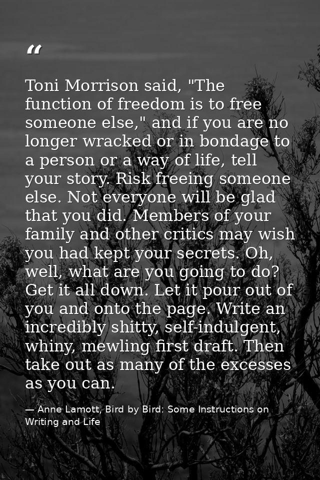 Toni Morrison said, "The function of freedom is to free someone else," and if you are no longer wracked or in bondage to — Anne Lamott, Bird by Bird: Some Instructions on Writing and Life
