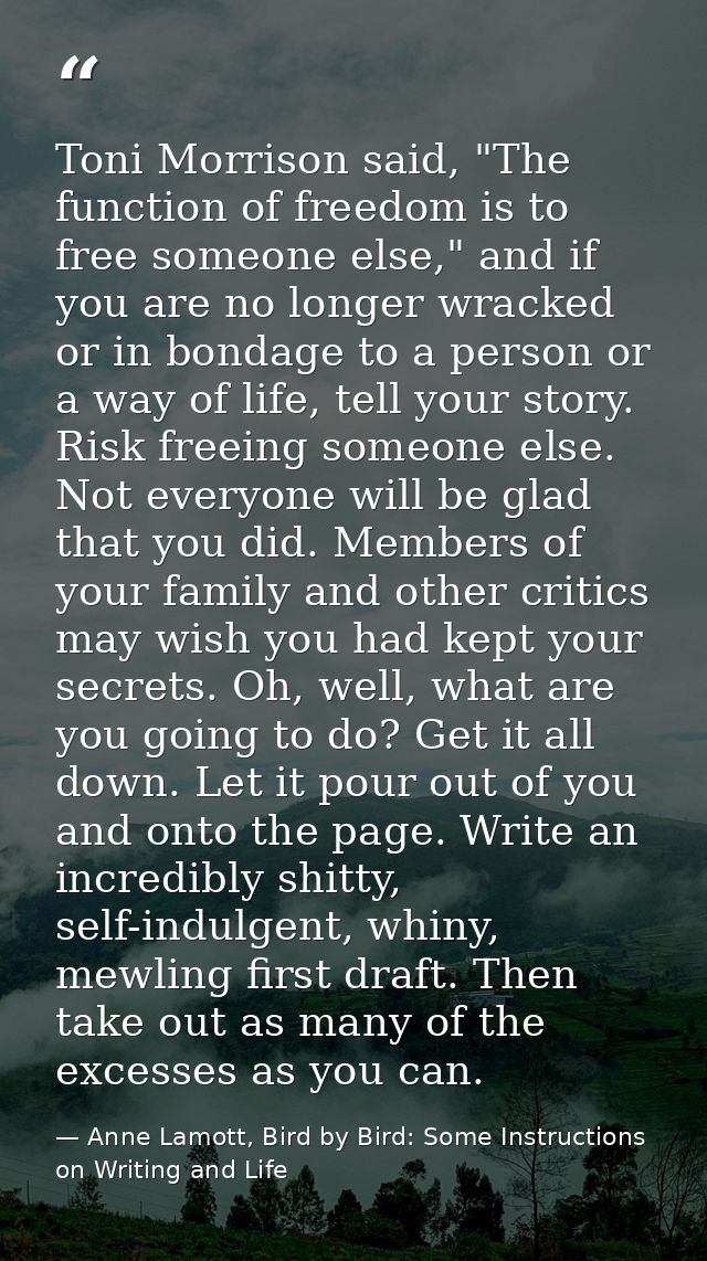 Toni Morrison said, "The function of freedom is to free someone else," and if you are no longer wracked or in bondage to — Anne Lamott, Bird by Bird: Some Instructions on Writing and Life