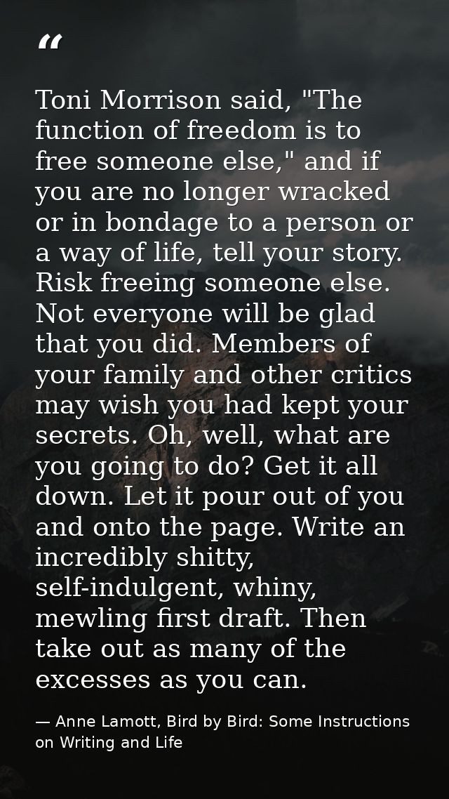 Toni Morrison said, "The function of freedom is to free someone else," and if you are no longer wracked or in bondage to — Anne Lamott, Bird by Bird: Some Instructions on Writing and Life