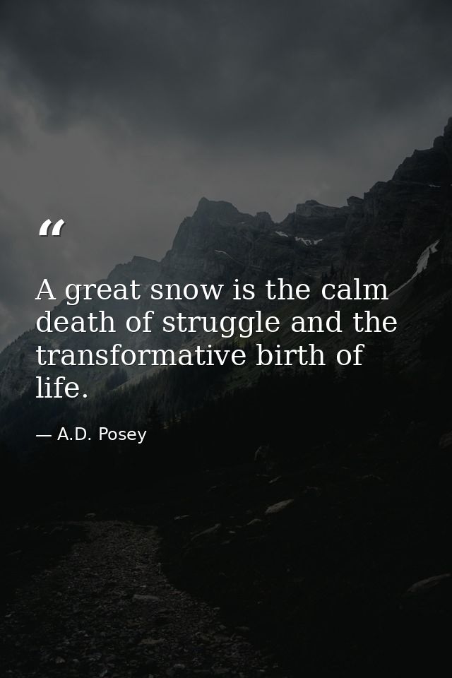 A great snow is the calm death of struggle and the transformative birth of life. — A.D. Posey
