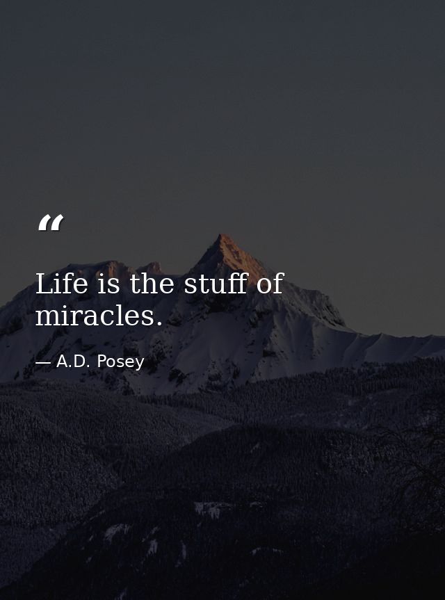 Life is the stuff of miracles. — A.D. Posey