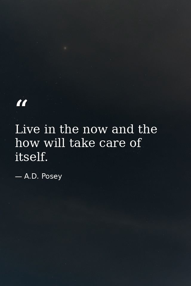 Live in the now and the how will take care of itself. — A.D. Posey