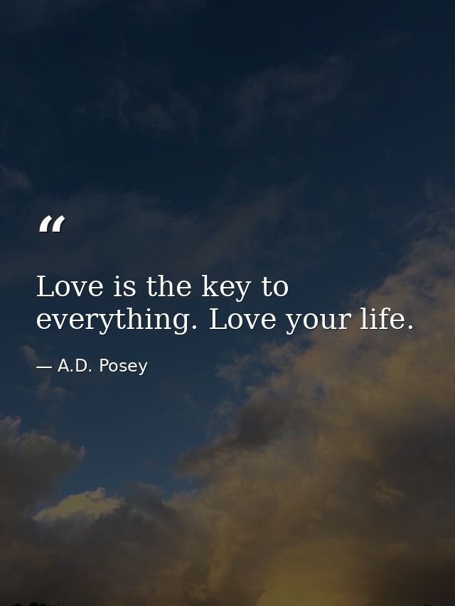 Love is the key to everything. Love your life. — A.D. Posey