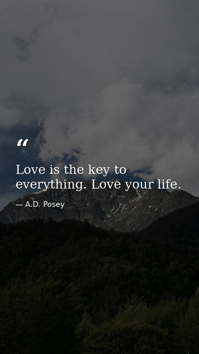 Love is the key to everything. Love your life. — A.D. Posey