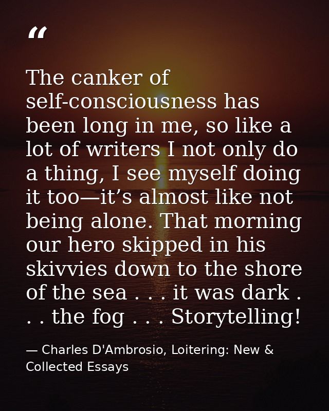 The canker of self-consciousness has been long in me, so like a lot of writers I not only do a thing, I see myself doing — Charles D'Ambrosio, Loitering: New & Collected Essays