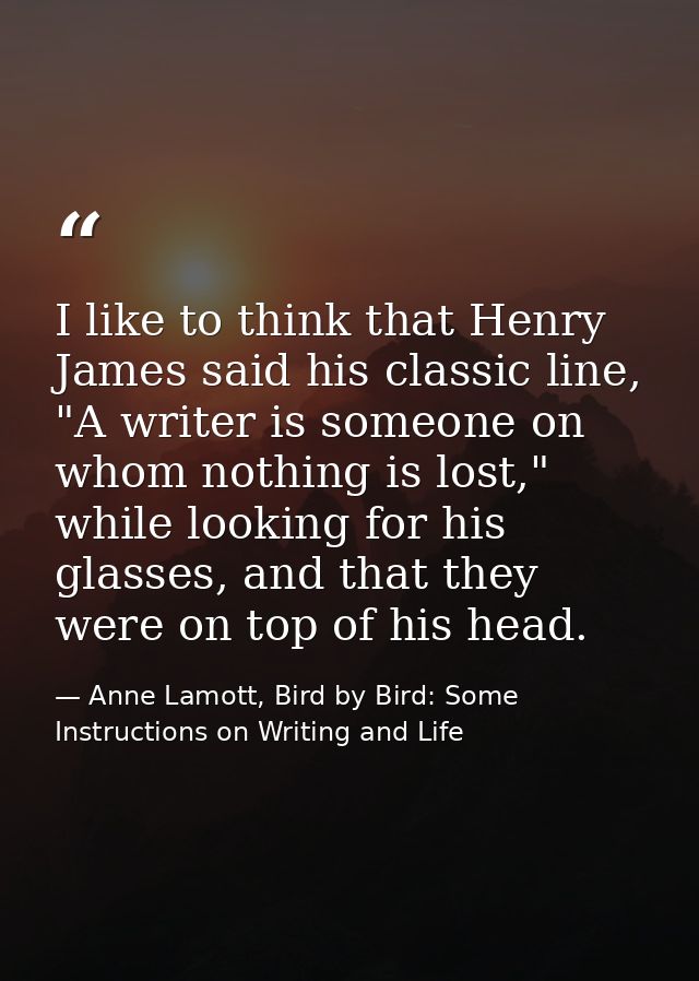 I like to think that Henry James said his classic line, "A writer is someone on whom nothing is lost," while looking for — Anne Lamott, Bird by Bird: Some Instructions on Writing and Life