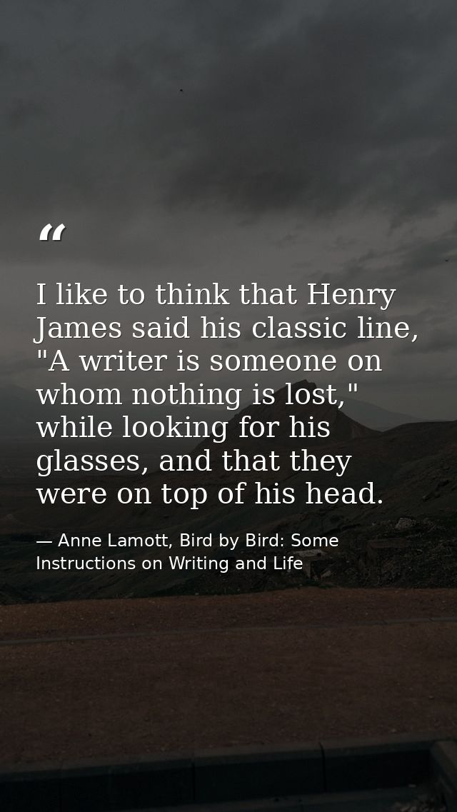 I like to think that Henry James said his classic line, "A writer is someone on whom nothing is lost," while looking for — Anne Lamott, Bird by Bird: Some Instructions on Writing and Life