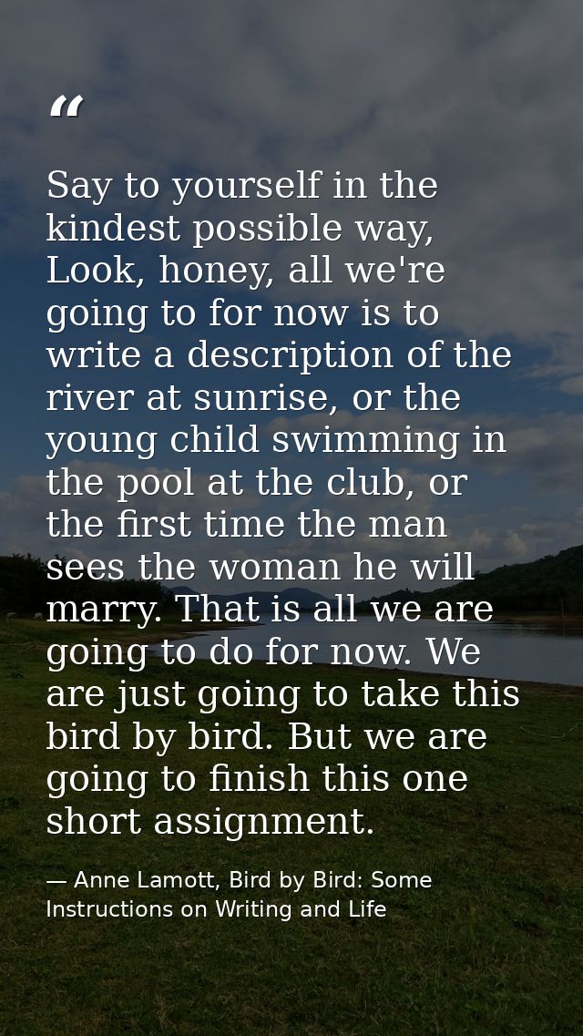 Say to yourself in the kindest possible way, Look, honey, all we're going to for now is to write a description of the ri — Anne Lamott, Bird by Bird: Some Instructions on Writing and Life