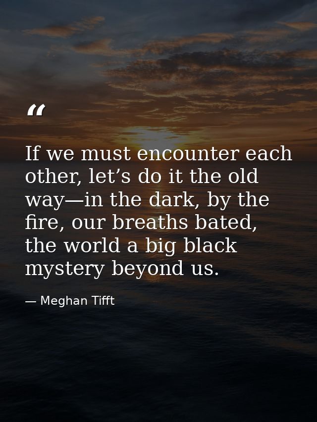 If we must encounter each other, let’s do it the old way—in the dark, by the fire, our breaths bated, the world a big bl — Meghan Tifft